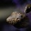 asteroid_01
